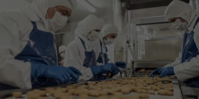 NED Personeel diensten