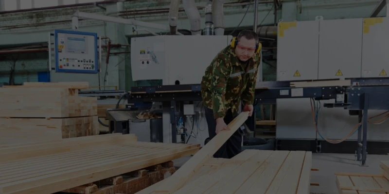 NED Personeel diensten