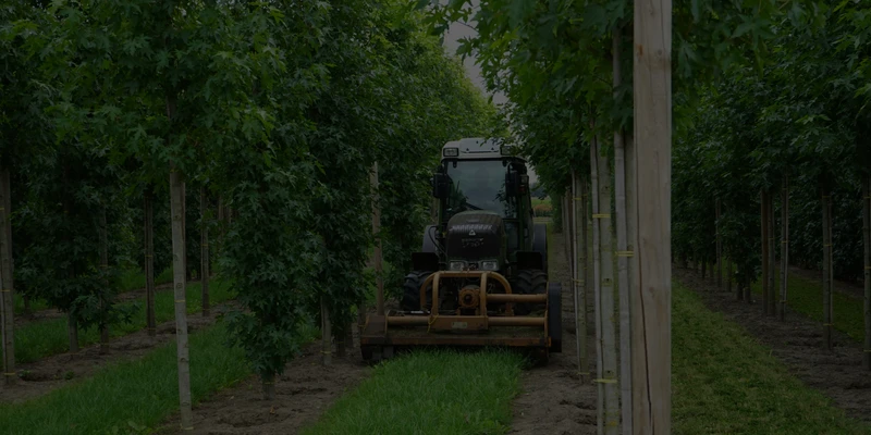 NED Personeel diensten